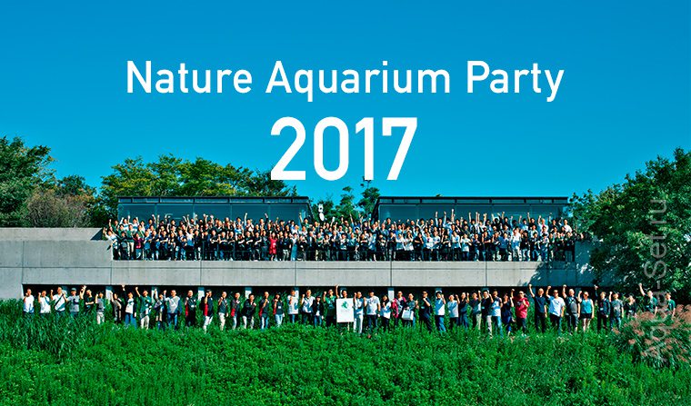 Результаты конкурса акваскейп дизайна IAPLC 2017