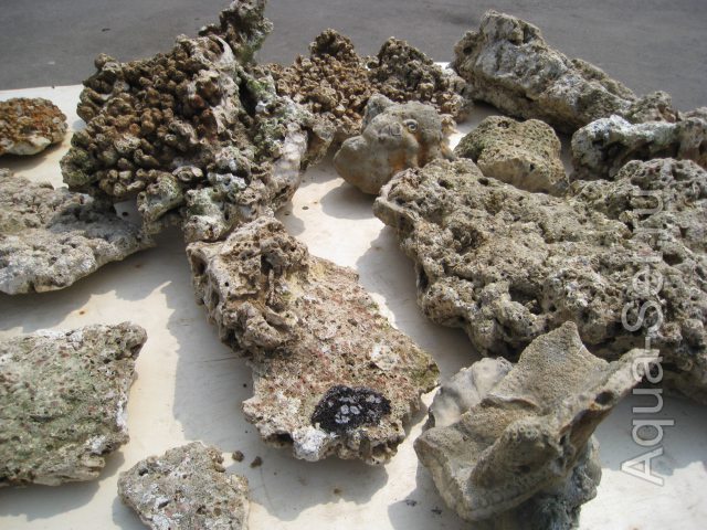 Продаем коралловую крошку 1-4 см и коралловый скальный камень 8-10 см