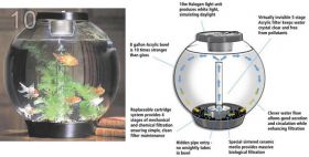 аквариум/инсулариум/палюдариум в суровых условиях