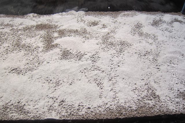 Benibachi Mineral Black Soil Powder [5kg]