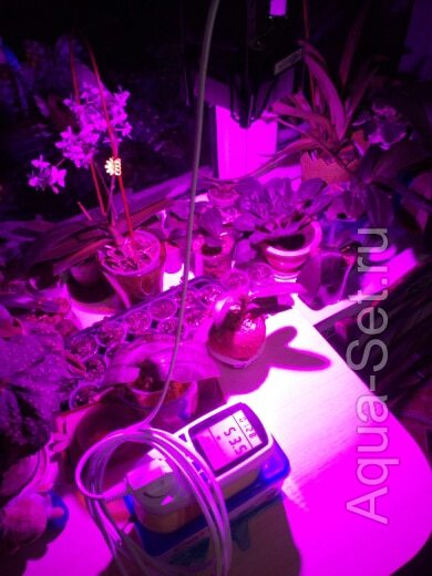 Светодиоды 50Вт на 220В для растений из Китая.