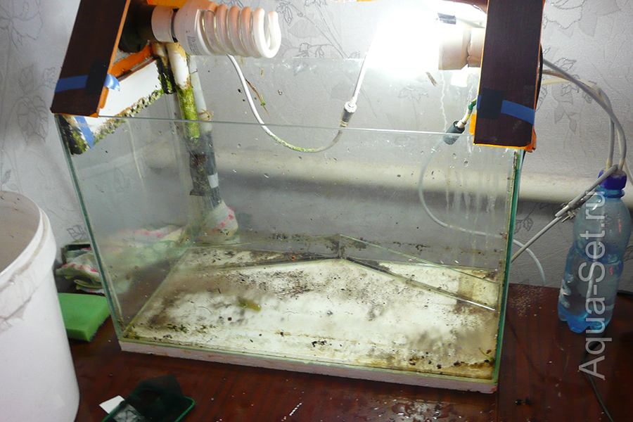 Земляной аквариум - 27 литров - Исходный аквариум на 27 литров. Свет установлен 2х36 Вт.