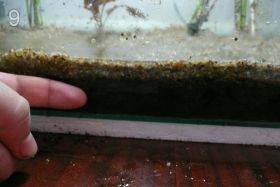 Земляной аквариум - 27 литров
