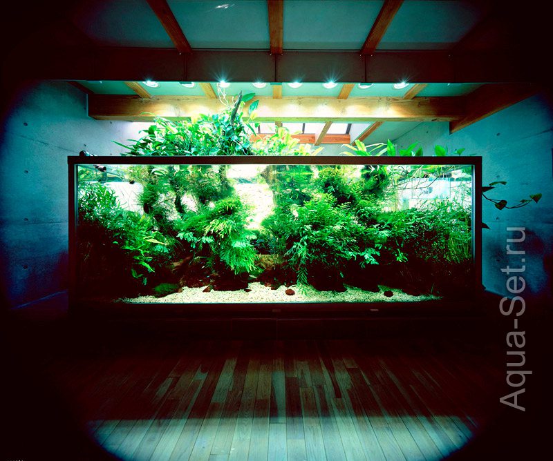 Красивые фото аквариумов
