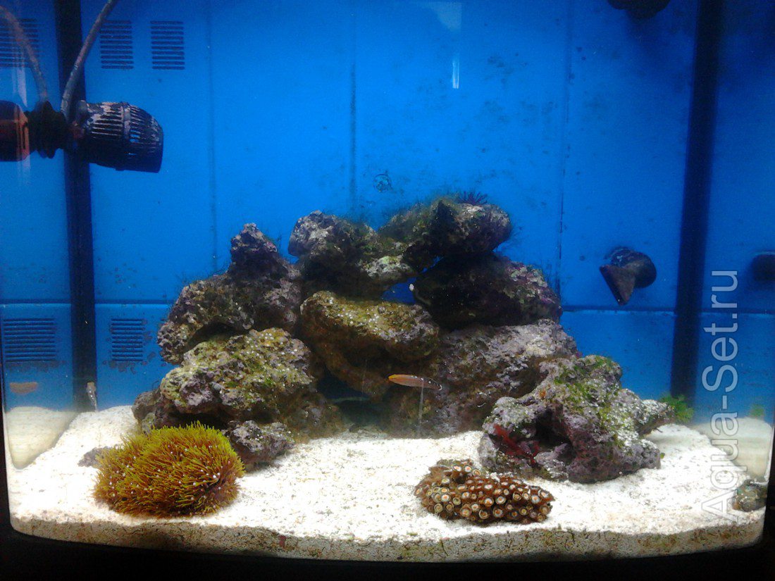 Продам морской аквариум Resan